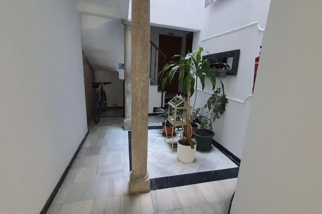 Aloja T Elvira Apartment Granada Bagian luar foto